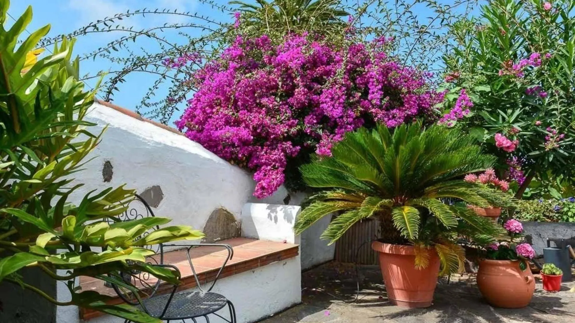 Renovierte Finca Paradies Mit Privatem Pool La Victoria de Acentejo Holiday home