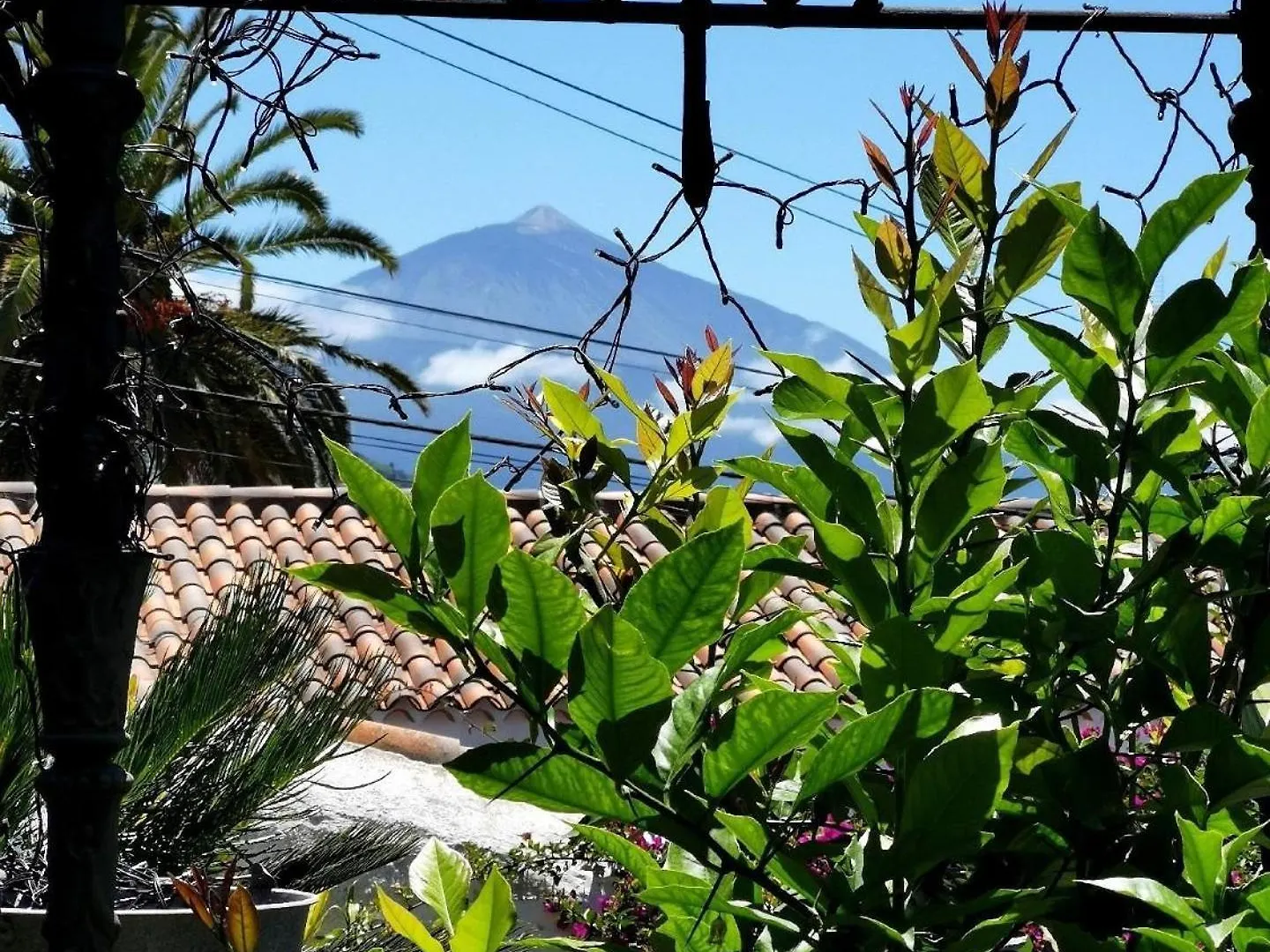 Renovierte Finca Paradies Mit Privatem Pool La Victoria de Acentejo